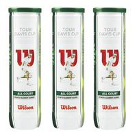 wilson tour davis cup tennis balls 1 dozen