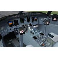 Wilco Fleet: CRJ 2004 Add-On for FS 2004 (PC CD)