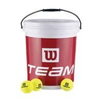 Wilson Trainer (72 Tennis Balls)
