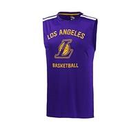 wntrhps basketball jersey adidas nba los angeles lakers men purple yel ...