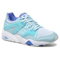 WNS Blaze Filtered Trinomic