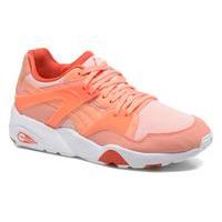 WNS Blaze Filtered Trinomic