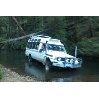 Wombat State Forest Nocturnal 4WD Tour from Woodend