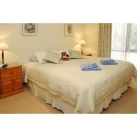 Woodland by the Bay & Puddleduck...