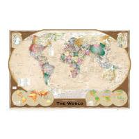 World Map Tripel Projection - Maxi Poster - 61 x 91.5cm
