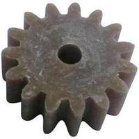 Wood, PVC Cogwheel Modelcraft Module Type: 1.0 No. of teeth: 15 1 pc(s)