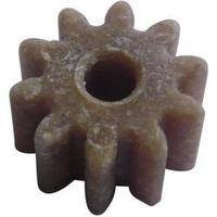 Wood, PVC Cogwheel Modelcraft Module Type: 1.0 No. of teeth: 10 1 pc(s)