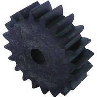 Wood, PVC Cogwheel Modelcraft Module Type: 1.0 No. of teeth: 20 1 pc(s)