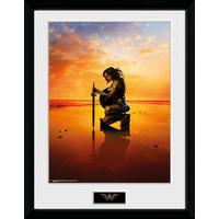 wonder woman kneel collector print