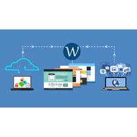 wordpress comprehensive online 3 course package