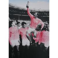 World Cup 1966 By David Studwell