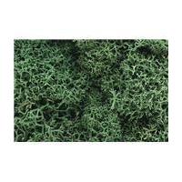 Woodland Scenics Lichen in Light Green