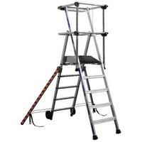 Work Platform 3 Tread Silver 307569