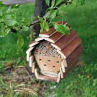 Wooden Insect And Bee Hotel