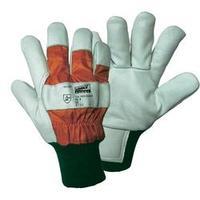 worky 1603 Wiesel Forst - Forestry protection glove, Size 10 Upper material: cow grain leather with nylon back Lining: