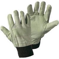 worky 1602 Size Damen