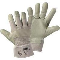 worky 1551 glove made of pig grain leather pig grain leather glove siz ...