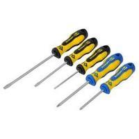 Workshop Screwdriver set 5-piece C.K. Slot, Pozidriv