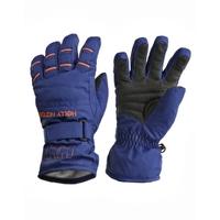 Womens Alpine Glove - Princess Purple