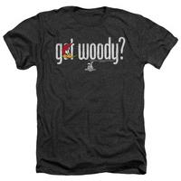 Woody Woodpecker - Got Woody