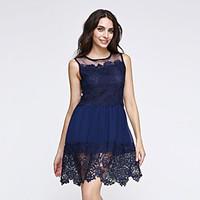 Women\'s Lace Party Cute Skater Dress, Solid Round Neck Mini Sleeveless Blue/White Others Spring/Summer/Fall