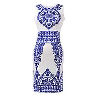 Women\'s Casual/Daily Beach Holiday Vintage Bodycon Dress, Print Round Neck Above Knee Sleeveless Polyester Spandex Summer High Rise