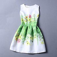 womens casualdaily beach holiday vintage a line dress print round neck ...