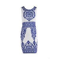 Women\'s Boho Going out Casual/Daily Work Sexy Simple Chinoiserie Bodycon Dress, Print Round Neck Knee-length Sleeveless Others Blue SummerMid