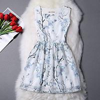 womens casualdaily beach holiday vintage a line dress floral round nec ...