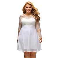 womens lace boohoo plus size lace top skater dress