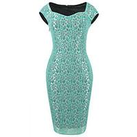 womens lace going out casualdaily simple cute street chic sheath dress ...