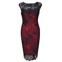 Women\'s Lace Casual/Daily Formal Party Sexy Vintage Bodycon Dress, Embroidered Lace Round Neck Knee-length Sleeveless Cotton Polyester