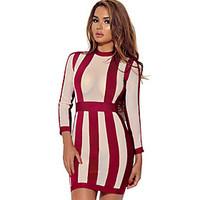 Women\'s Casual/Daily / Club Sexy / Street chic Bodycon See-through Blouses DressStriped Crew Neck Above Knee Long Sleeve Spring / Fall Mid Rise