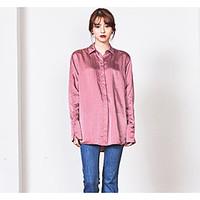 Women\'s Casual/Daily Holiday Simple Street chic Sophisticated Shirt, Embroidered Shirt Collar Long Sleeve Others