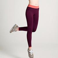 women solid color legging cotton spandex medium