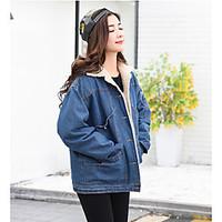 Women\'s Casual/Daily Vintage Simple Winter Denim Jacket, Solid Shirt Collar Long Sleeve Regular Others