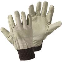 Worky 1602 Lady 131-PAWA Pig Grain Leather Glove - Ladies