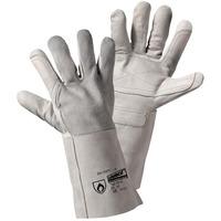 Worky 1818 Reinforce Universal Glove