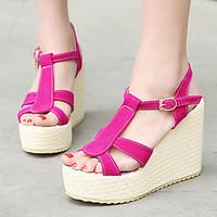 Women\'s Shoes Heel Wedges / Heels / Peep Toe / Platform Sandals / Heels Outdoor / Dress / Casual Black / Blue / Red