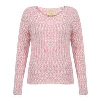 Womens Plum Tree Passion Flower pink Jumper