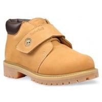 WP Chukka Wheat