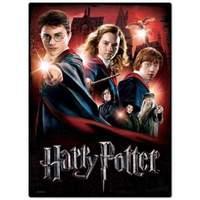Wrebbit - Harry Potter - Poster Puzzle 500 Pc - Hogwarts