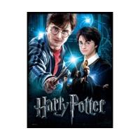 Wrebbit Poster-Puzzle Harry Potter
