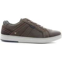 Wrangler WM162141 Sneakers Man Dark brown men\'s Walking Boots in brown