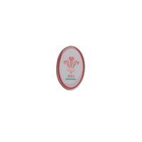 WRU Crest Pin Badge