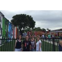 Wynwood Artwalk and Mural Tour