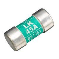 Wylex 45A Fuse