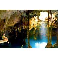 xenotes oasis maya cenotes adventure from playa del carmen