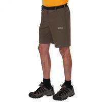 xert stretch shorts ii roasted