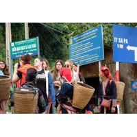 xin cheng market guided day tour from sapa